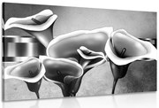 Quadro su tela – Eleganti fiori di calla in bianco e nero