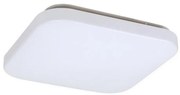 Rabalux 3340 - Plafoniera LED ROB 1xLED/20W/230V