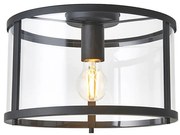 Endon 101540 - Plafoniera HOPTON 1xE27/10W/230V nero