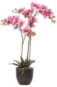 Pianta artificiale senza vaso Phalaenopsis H 110