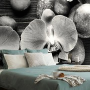 Carta da parati – Orchidea e pietre in bianco e nero