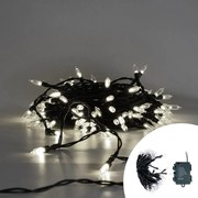 Catena di luci Vintage 10 metri da 100 Led Bianco Freddo con cavo verde a batteria Wisdom
