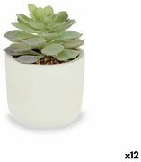 Pianta Decorativa Succulenta Plastica 14 x 13,5 x 14 cm (12 Unità)