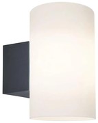 Paulmann 94186 - 1xE27/15W IP54 Applique da esterno TUBE 230V