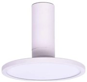 Rabalux 71328 - Plafoniera LED OVIDIA LED/20W/230V 3000K bianca