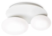 Plafoniera Contemporanea Ninfea Metallo Bianco 2 Luci Gx53 9W 3000K Luce Calda