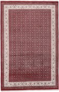 Tappeto orientale 300 x 200 (Indian) Annodato A Mano