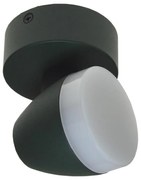 Plafoniera LED SURMUR LED/6W/230V verde