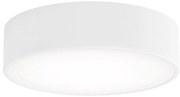 Plafoniera LED CLEO 24W 230V 3000K Ø30 cm bianco
