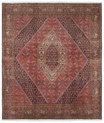 Bidjar Tappeto persiano 240 x 210 (Iran) Annodato A Mano