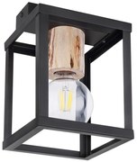 Globo 15476D - Plafoniera HAGAR 1xE27/60W/230V