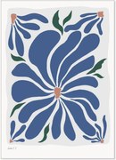 Poster Bellis