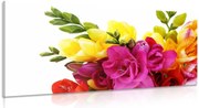 Quadro su tela – Bouquet di fresie
