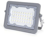 Faro proiettore Led 30W Grigio da esterno IP65 Bianco freddo 6500K Aigostar