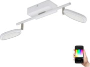 Eglo 97692 - Faretto LED PALOMBARE-C 2xLED/5W/230V