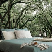 Carta da parati – In abbraccio degli alberi