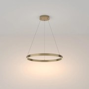 Lampadario A Sospensione Moderno Rim Alluminio Ottone Luce Led 37W