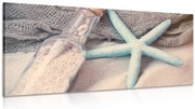 Quadro su tela – Stella marina sulla spiaggia