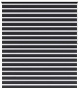 Tenda a rullo giorno / notte INSPIRE Bolero grigio scuro 180x250 cm