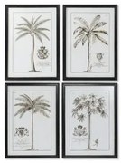 Quadro DKD Home Decor Palme Coloniale 50 x 2,5 x 70 cm (4 Unità)