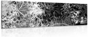 Stampa su tela – Arte astratta in bianco e nero