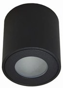 Plafoniera da esterno FARA 1xGU10/50W/230V IP54 nero