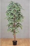 Pianta artificiale Ficus in vaso di plastica H 150 cm ø 15 cm