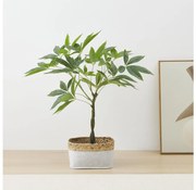 Eglo 428341 - Pianta artificiale in vaso da fiori YUBETSU 61x40,6 cm