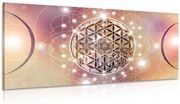 Quadro su tela – Mandala affascinante