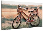 Dipinto su tela Bici in campagna, rosso, marrone 60 x 120 cm