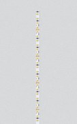 204 LED | 12,5 W /m | 24 V | IP20 | CRI>94