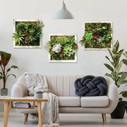 Vertical garden