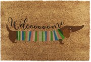 Zerbino in fibre di cocco 40x60 cm Welcome Sausage Dog – Artsy Doormats