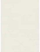Omexco Carta da parati Silky - BOP303