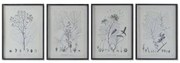 Quadro DKD Home Decor Moderno Piante botaniche 45 x 2,5 x 60 cm (4 Unità)