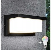 Lampada da parete per esterni LED RGBW dimmerabile NEELY 1xE27/9W/230V IP54 nera