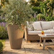 MERCEDES - vaso grande