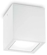 Plafoniera Moderna Techo Metallo Bianco 1 Luce Gu10 Small