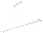 Sospensione Moderna Double Track Metallo >Grgio E Diffusore Acrilico Led 40W