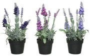 Pianta Decorativa 25 cm PVC Lavanda