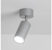 Brilagi - Luce Spot da bagno SELE 1xGU10/30W/230V IP44 argento