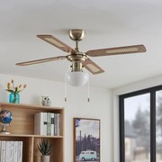 Ventilatore da soffitto Lindby con luce Rakan, silenzioso, Ø 106 cm