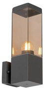 Lampada da parete esterna moderna grigio scuro con vetro fumé - Malios