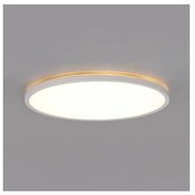 Lampada LED bagno NIVERA LED/12W/230V IP54 Ø 22,5 cm bianco con telecomando