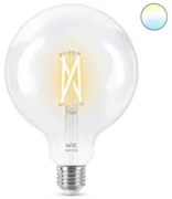 Lampadina Intelligente Ledkia G125 E27