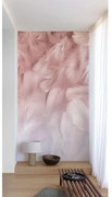 Fotomurale Piume, rosa 159 x 280 cm