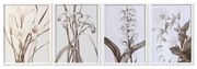 Quadro DKD Home Decor Cristallo Betulla 55 x 70 x 2,5 cm 55 x 2,5 x 70 cm Fiori (4 Pezzi)