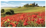 Stampa su tela Campagna Toscana, multicolore 135 x 80 cm