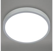 Briloner 3709-014 - Plafoniera dimmerabile RGBW LED/22W/230V argento + +TC