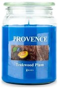 Candela profumata TEAKWOOD PLUM 510g 85-95 ore.